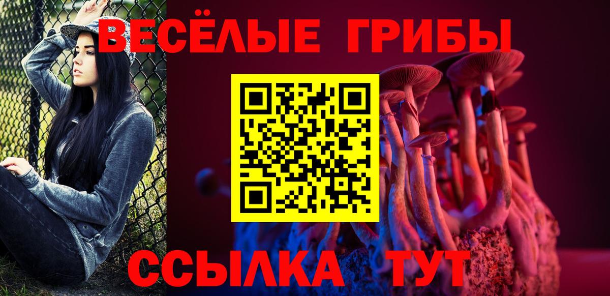 где купить   Вход с VPN  Тара  Псилоцибиновые грибы Psilocybine cubensis 